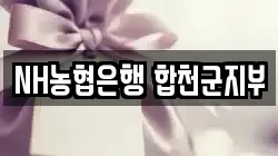 NH농협은행 합천군지부