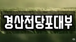 경산전당포대부