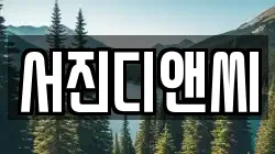 서진디앤씨