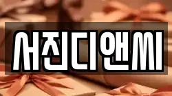 서진디앤씨
