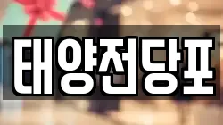태양전당포