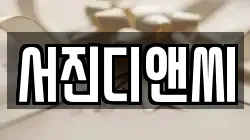 서진디앤씨
