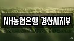 NH농협은행 경산시지부