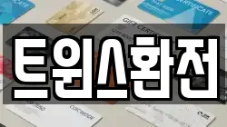 트윈스환전