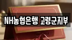 NH농협은행 고령군지부