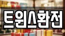 트윈스환전