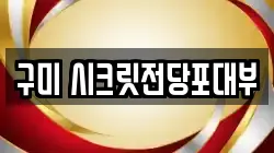 구미 시크릿전당포대부
