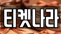 티켓나라