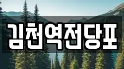 김천역전당포