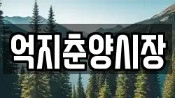 억지춘양시장