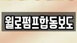 윌로펌프합동보도