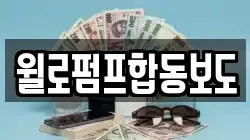 윌로펌프합동보도