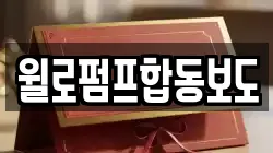 윌로펌프합동보도