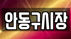 안동구시장