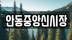 안동중앙신시장