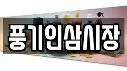 풍기인삼시장