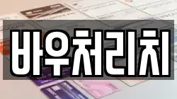 바우처리치