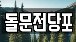 돌문전당포