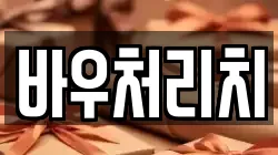 바우처리치