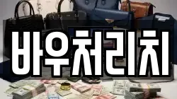 바우처리치