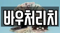 바우처리치