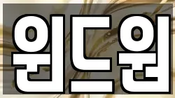 윈드원