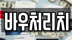 바우처리치