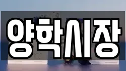 양학시장