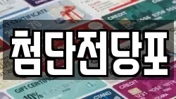 첨단전당포