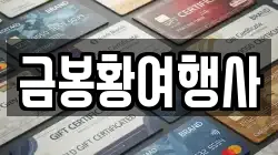 금봉황여행사