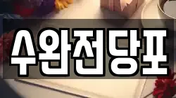 수완전당포