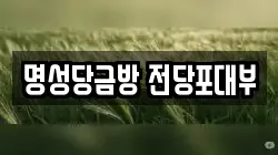 명성당금방 전당포대부
