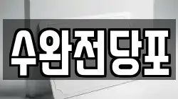 수완전당포