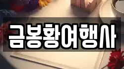 금봉황여행사