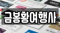 금봉황여행사