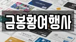 금봉황여행사