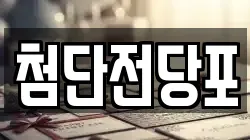 첨단전당포