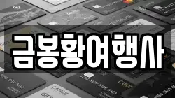 금봉황여행사