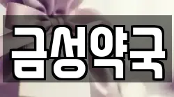 금성약국