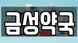 금성약국