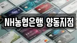 NH농협은행 양동지점