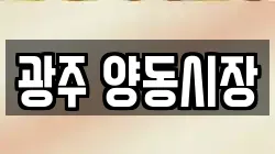 광주 양동시장