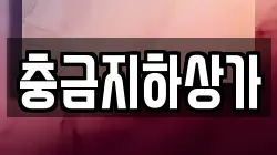충금지하상가