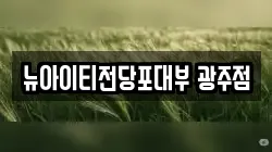 뉴아이티전당포대부 광주점