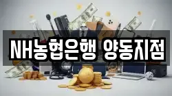 NH농협은행 양동지점