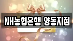 NH농협은행 양동지점
