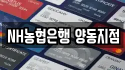 NH농협은행 양동지점