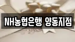 NH농협은행 양동지점