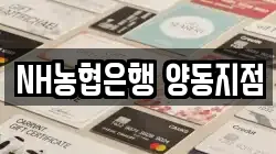 NH농협은행 양동지점