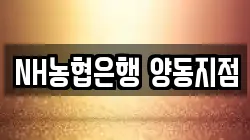 NH농협은행 양동지점